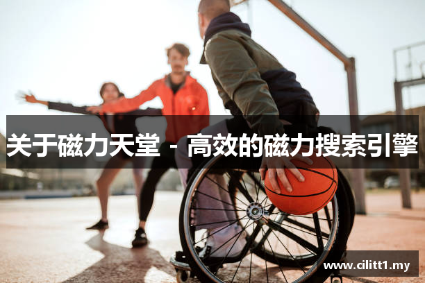 关于磁力天堂 - 高效的磁力搜索引擎